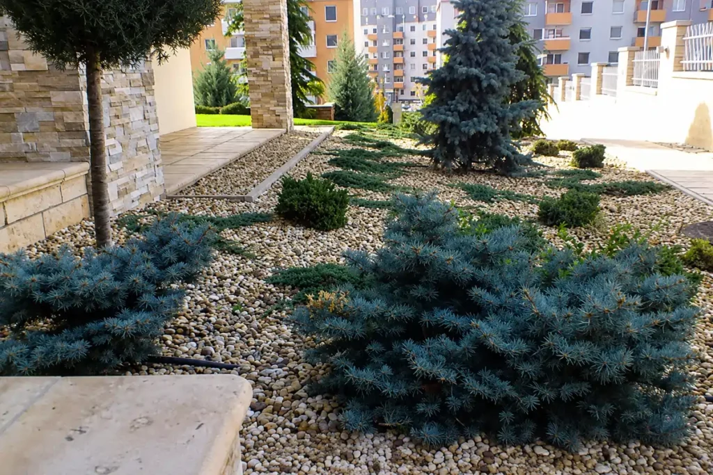 Moderná záhrada na mieru - symbióza dreva, betónu, kameňa